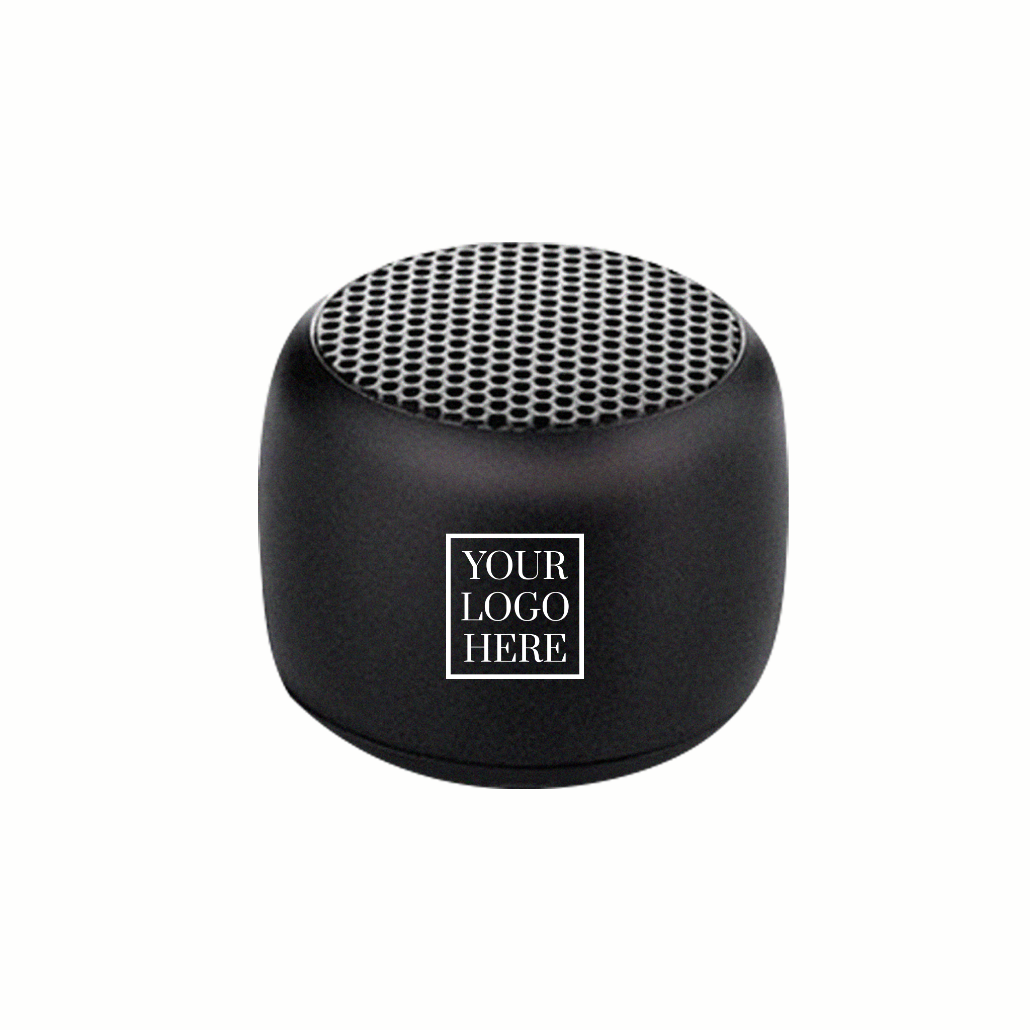 Portable Speaker (PS01)