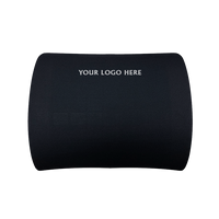Lumbar Back Rest (C07)