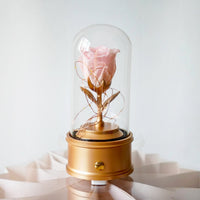 Preserved Rose Dome with Bluetooth Speakers & Lights (FL06)