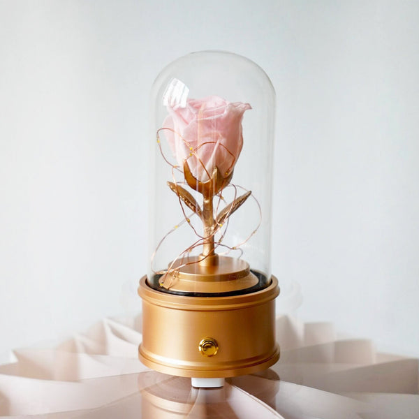 Preserved Rose Dome with Bluetooth Speakers & Lights (FL06)