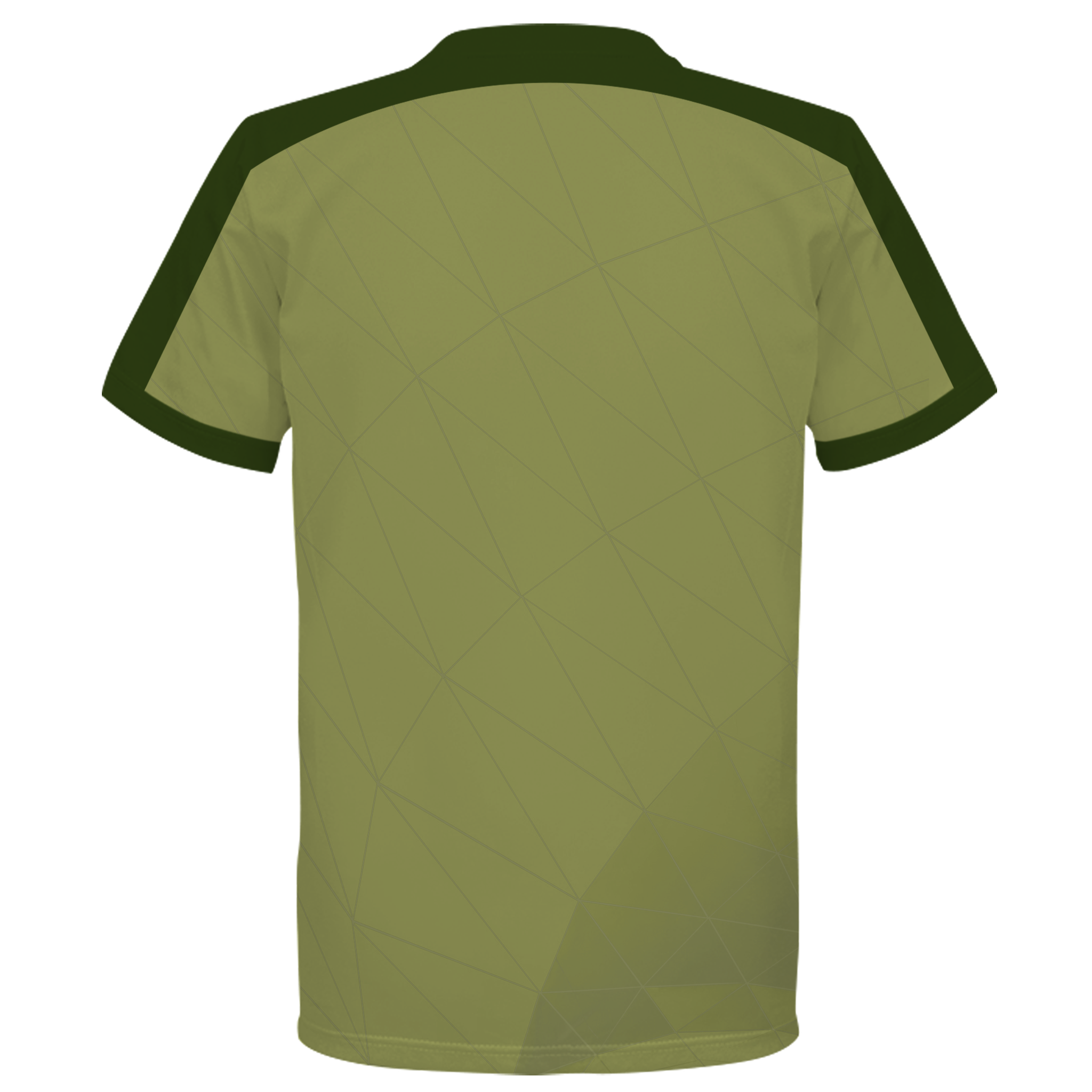 Dri Fit Roundneck Shirt (DN10)