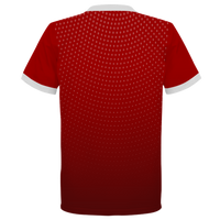 Dri Fit Roundneck Shirt (DN09)