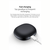 Earbuds (EB01)