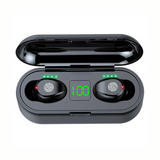 Earbuds (EB02)
