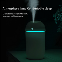 Portable Air Humidifier (C10)