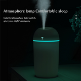 Portable Air Humidifier (C10)
