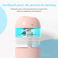 Portable Air Humidifier (C10)