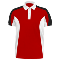Custom Polo Shirt - Paul (PS29)