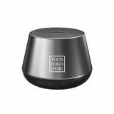 Portable Speaker (PS04)