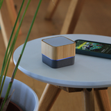 Bamboo Portable Speaker (PS05)