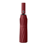 Premium Two Fold Umbrella - 24 Ribs (UB04)