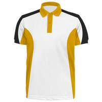 Custom Polo Shirt - Paul (PS29)